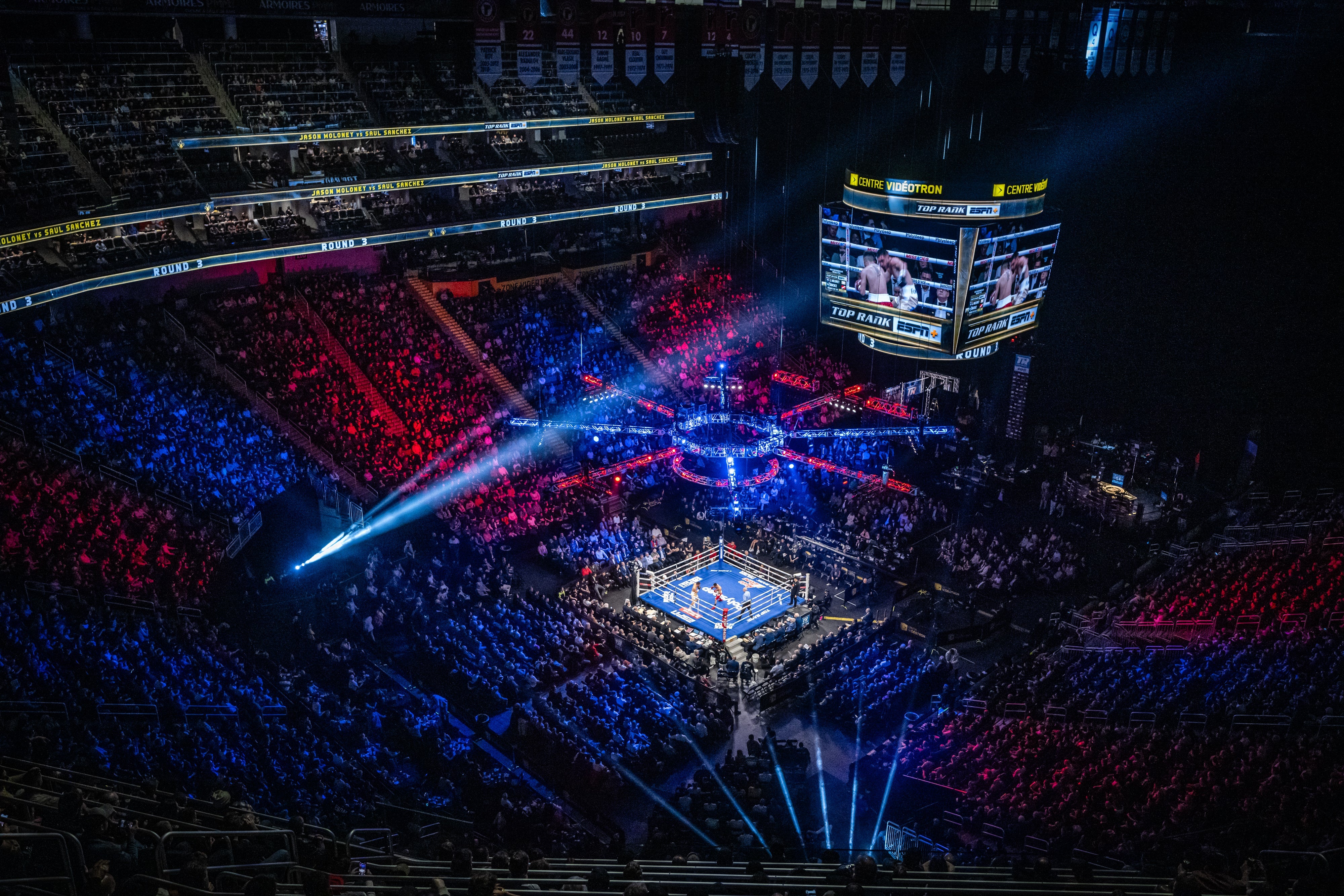 Combats locaux à l’honneur - Bilan de mi-année 2024 de la boxe au Québec - Canada Fighting