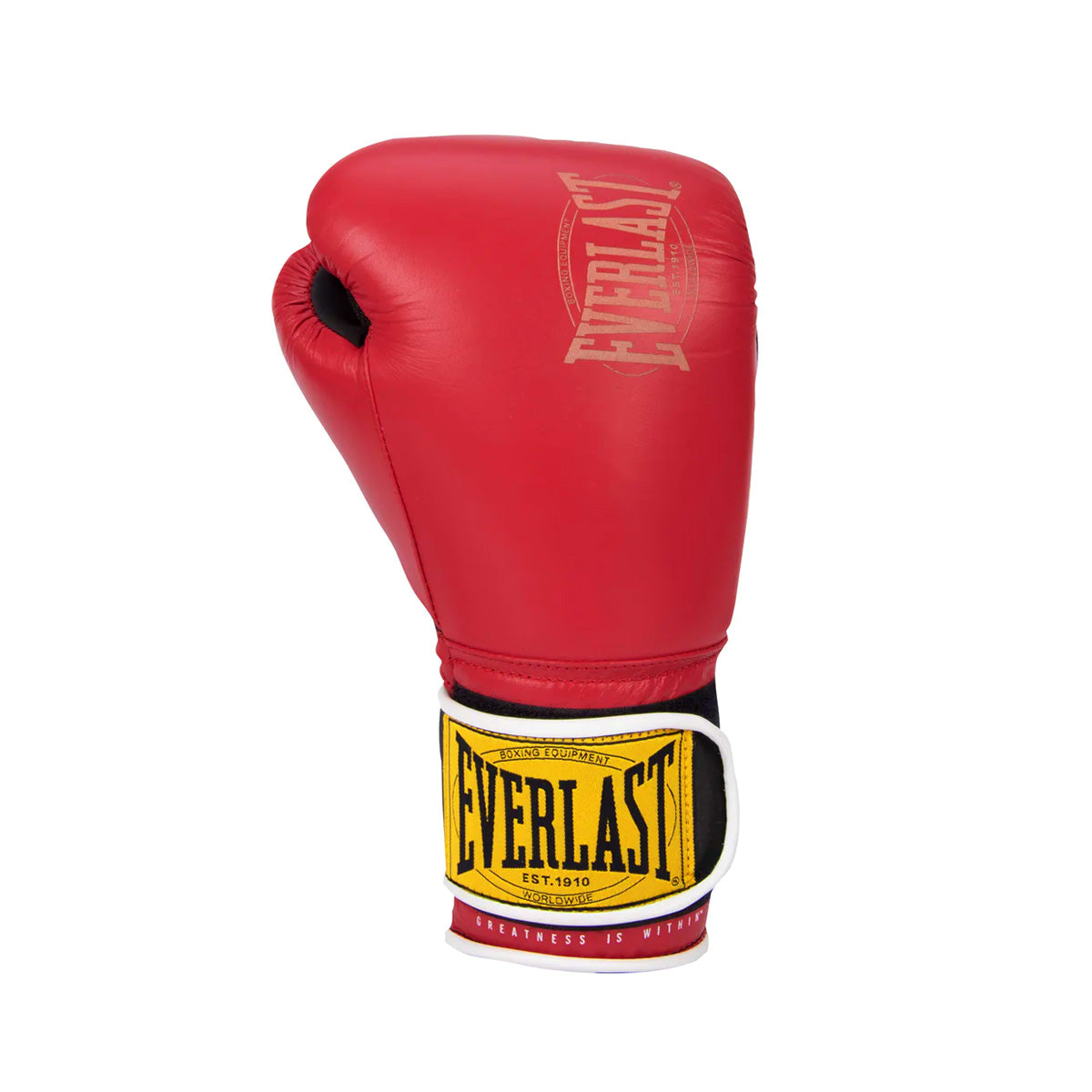 Everlast 1910 Classic-Gants de boxe-Everlast®-14-Canada Fighting