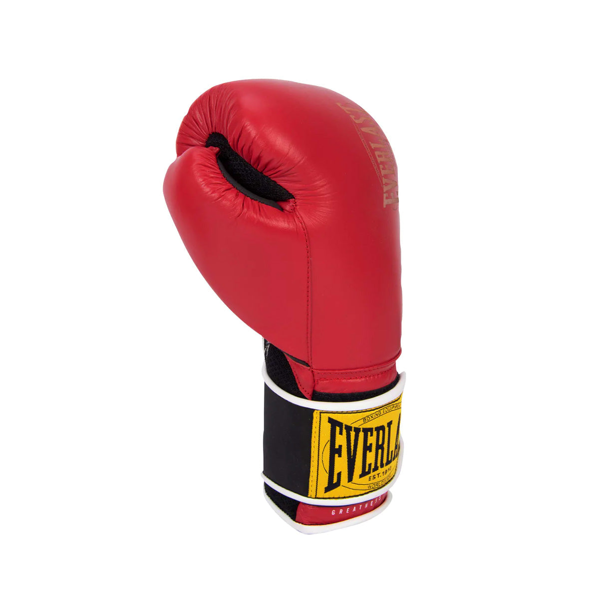 Everlast 1910 Classic-Boxing Gloves-Everlast®-14-Canada Fighting