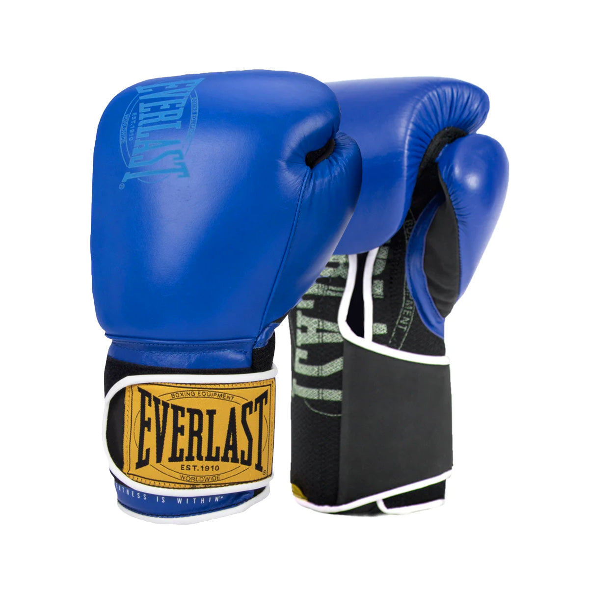 Everlast 1910 Classic-Gants de boxe-Everlast®-14-Canada Fighting