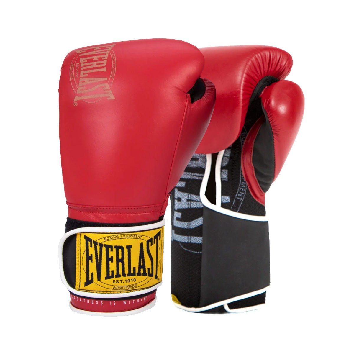 Everlast 1910 Classic - Canada Fighting Gants de boxe