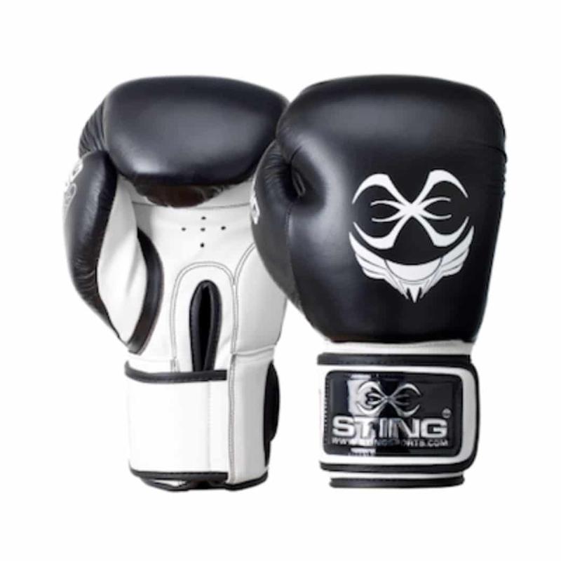Sting Gants de boxe Titan - Canada Fighting